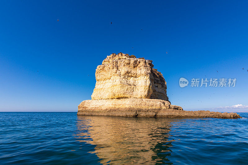 Leixão das海鸥岩组在阿尔加维，葡萄牙